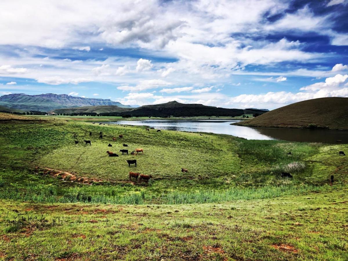 Lake Glencairn أندربرغ المظهر الخارجي الصورة